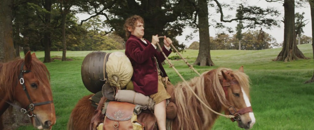 The Hobbit Pony